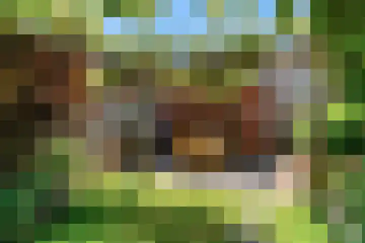 Hardgras 11 Houten thumbnail 21