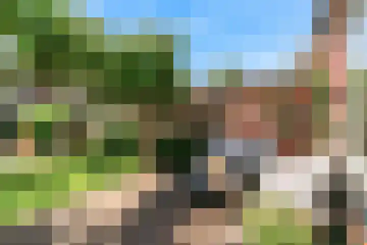Hardgras 11 Houten thumbnail 22