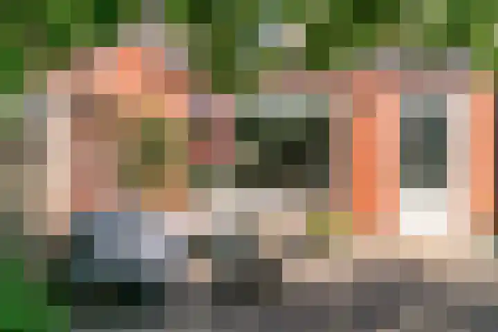 Hardgras 11 Houten thumbnail 23