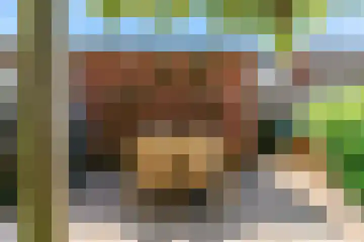 Hardgras 11 Houten thumbnail 24