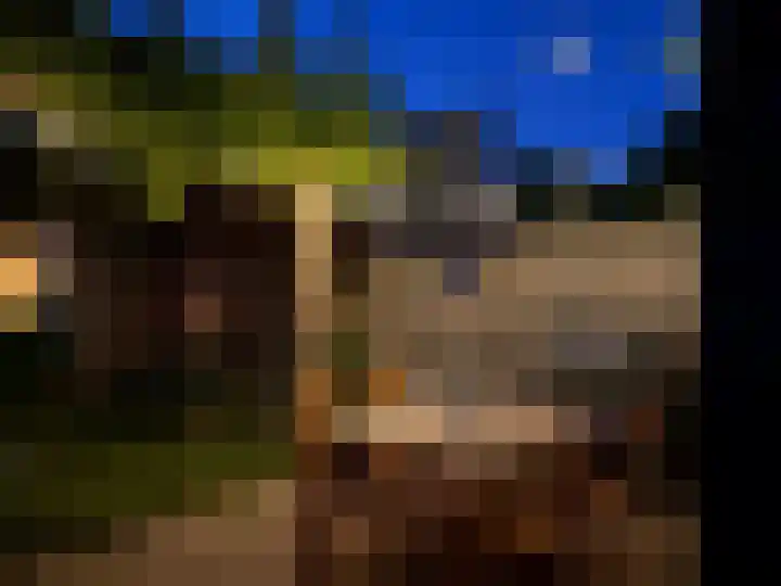 Hardgras 11 Houten thumbnail 25