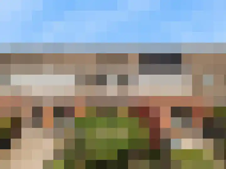 Hardgras 11 Houten thumbnail 26