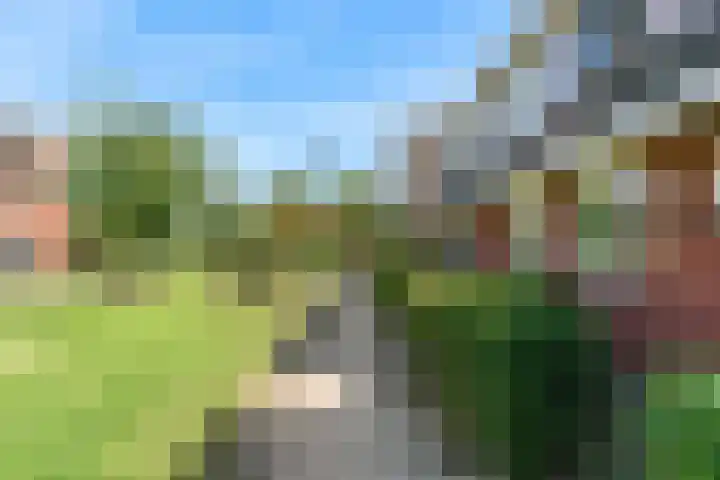 Hardgras 11 Houten thumbnail 27