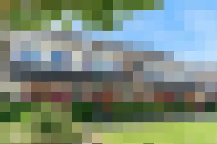 Hardgras 11 Houten thumbnail 28