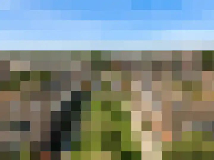 Hardgras 11 Houten thumbnail 30