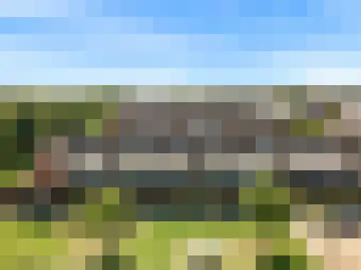 Hardgras 11 Houten thumbnail 31
