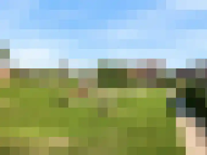 Hardgras 11 Houten thumbnail 32