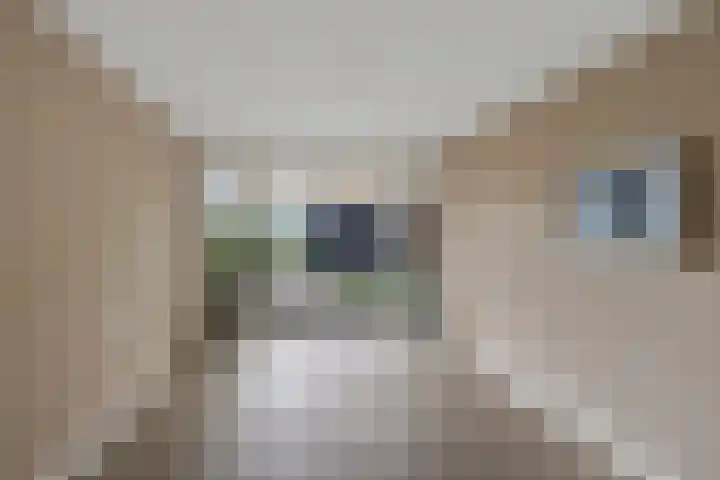 Hareweg 4 Oldemarkt thumbnail 23