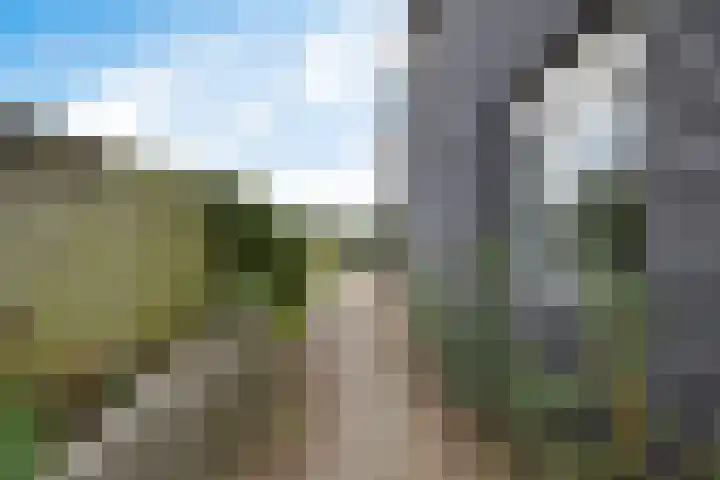 Hareweg 4 Oldemarkt thumbnail 30