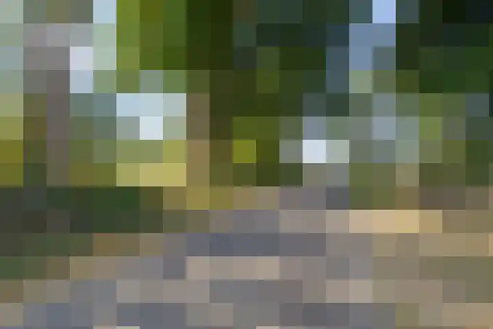 Hareweg 4 Oldemarkt thumbnail 38