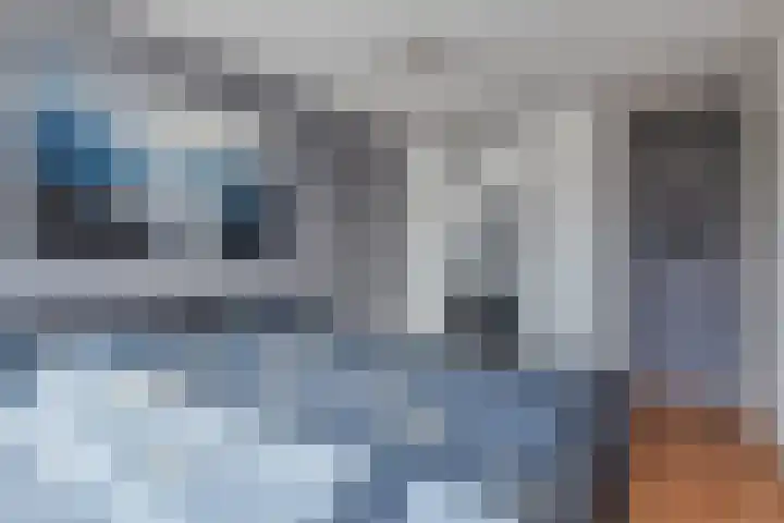 Hargpad 6 Pijnacker thumbnail 15