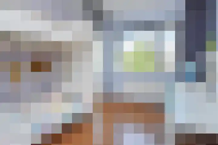 Hargpad 6 Pijnacker thumbnail 16