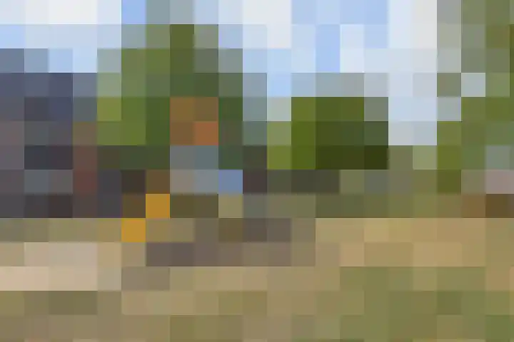 Hargpad 6 Pijnacker foto 2