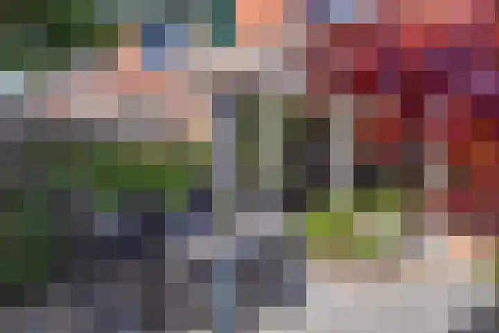 Hargpad 6 Pijnacker thumbnail 26