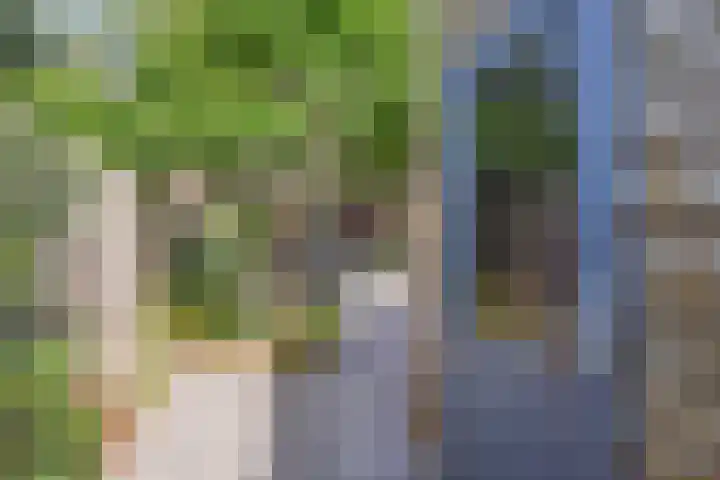 Hargpad 6 Pijnacker thumbnail 27