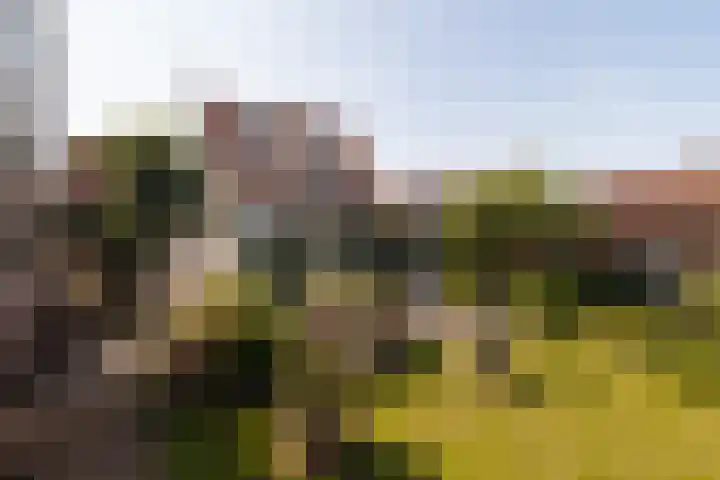 Haringburgwal 1 Monnickendam thumbnail 20