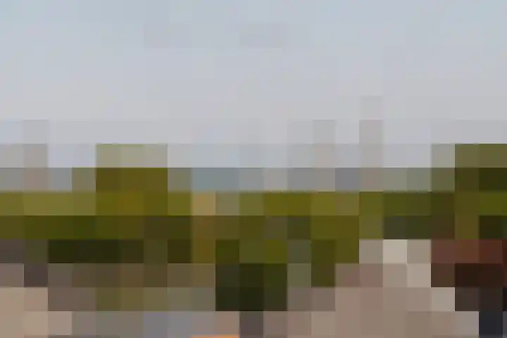 Haringburgwal 1 Monnickendam thumbnail 25