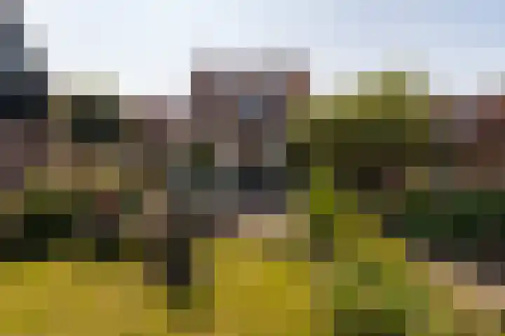 Haringburgwal 1 Monnickendam thumbnail 6