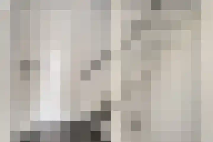 Haringvliet 10 Terneuzen thumbnail 10