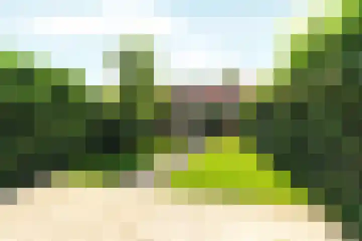 Haringvliet 38 Arnhem thumbnail 25
