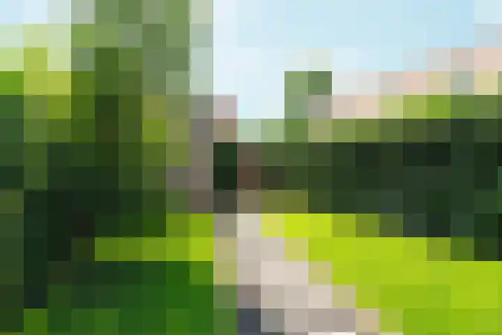 Haringvliet 38 Arnhem thumbnail 27