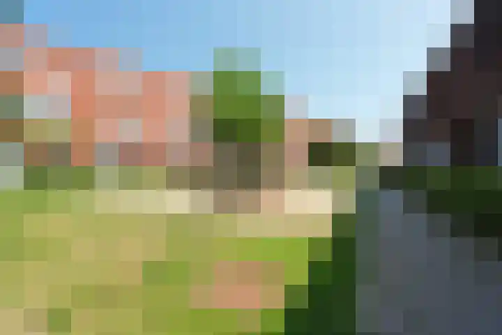 Haringvliet 38 Arnhem thumbnail 31