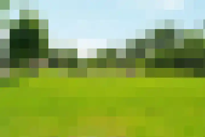 Haringvliet 38 Arnhem thumbnail 32