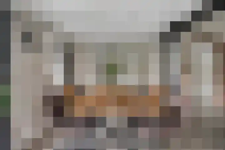 Harinkweg 13 de Lutte thumbnail 10