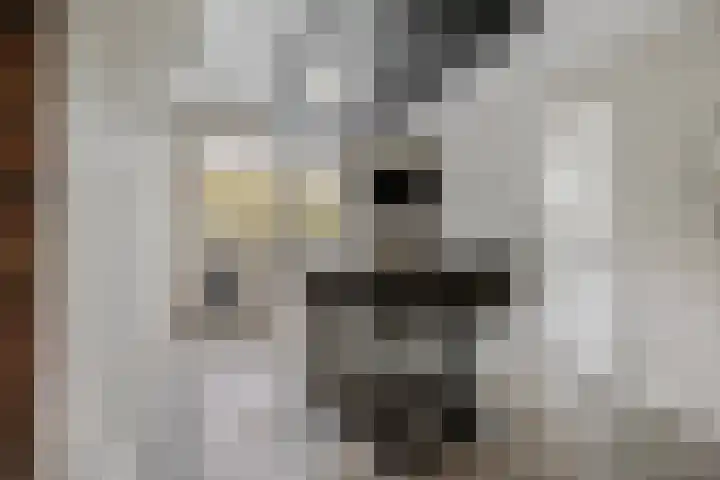 Harinkweg 13 de Lutte thumbnail 11