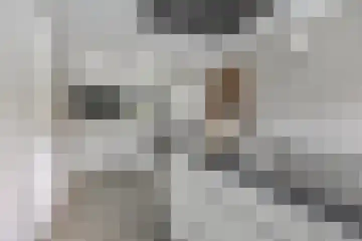 Harinkweg 13 de Lutte thumbnail 12