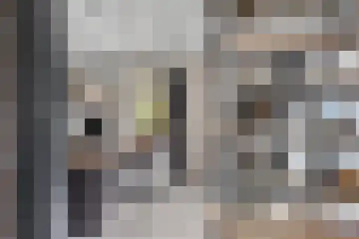 Harinkweg 13 de Lutte thumbnail 14