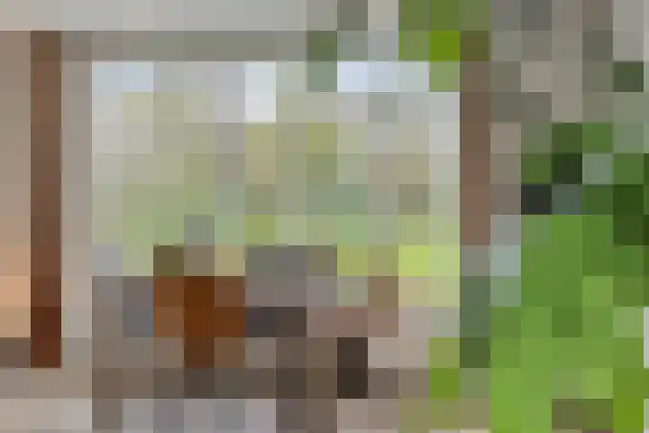 Harinkweg 13 de Lutte thumbnail 17