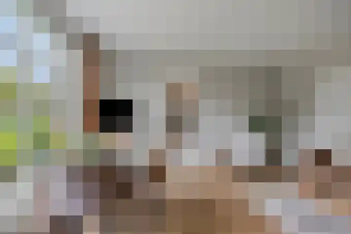 Harinkweg 13 de Lutte thumbnail 18