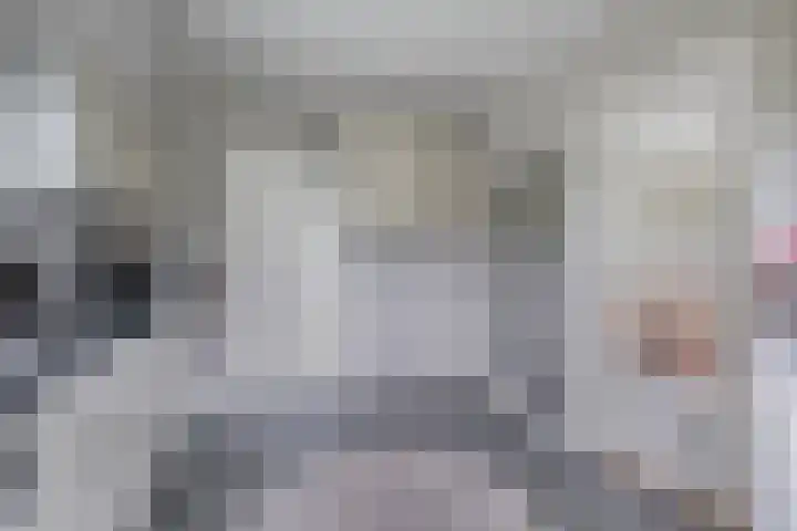 Harinkweg 13 de Lutte thumbnail 19