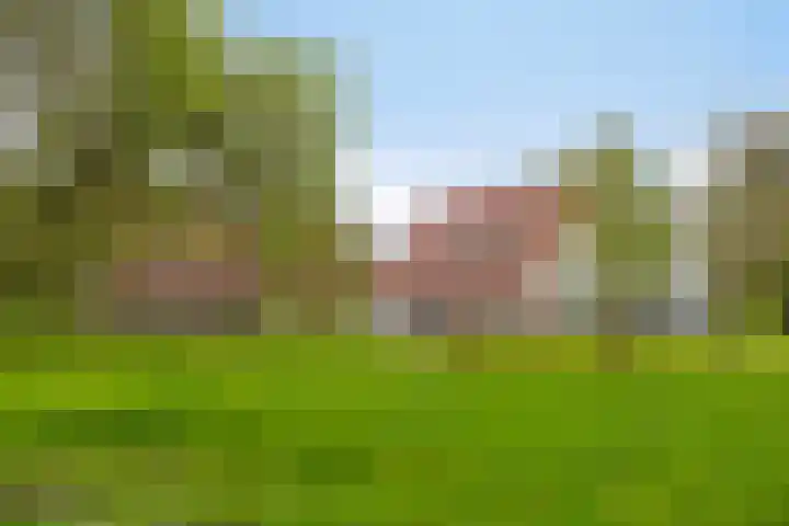 Harinkweg 13 de Lutte foto 2