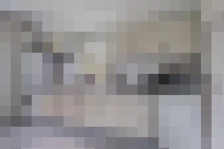 Harinkweg 13 de Lutte thumbnail 20