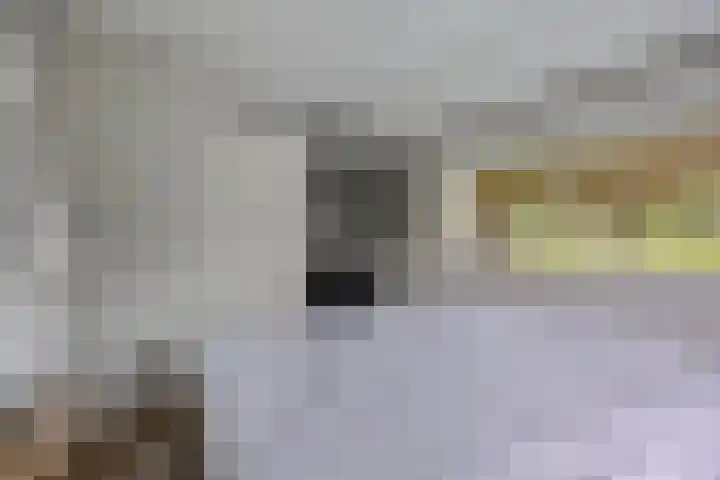 Harinkweg 13 de Lutte thumbnail 22