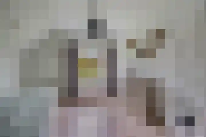 Harinkweg 13 de Lutte thumbnail 31
