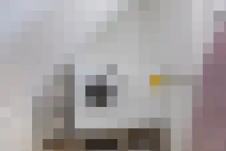 Harinkweg 13 de Lutte thumbnail 33