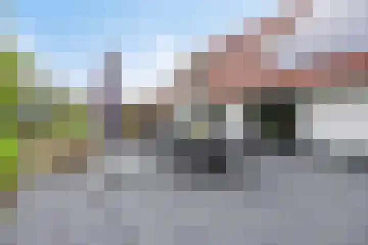 Harinkweg 13 de Lutte thumbnail 37