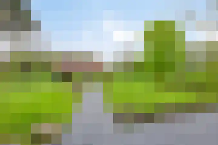 Harinkweg 13 de Lutte thumbnail 38