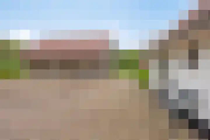 Harinkweg 13 de Lutte thumbnail 42