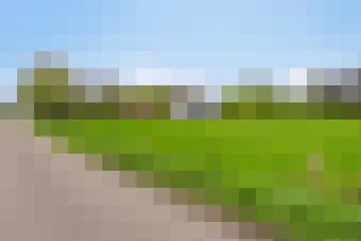 Harinkweg 13 de Lutte thumbnail 43