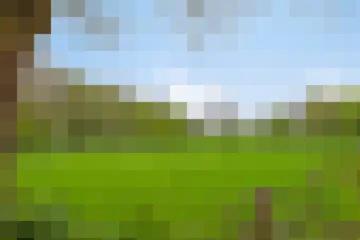 Harinkweg 13 de Lutte thumbnail 44