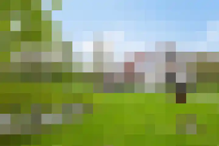 Harinkweg 13 de Lutte thumbnail 53