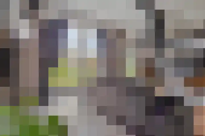 Harinkweg 13 de Lutte thumbnail 6