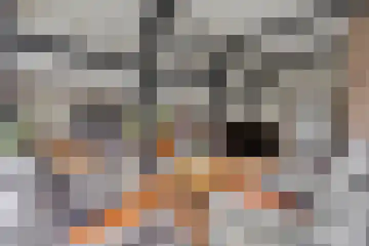Harinkweg 13 de Lutte thumbnail 7