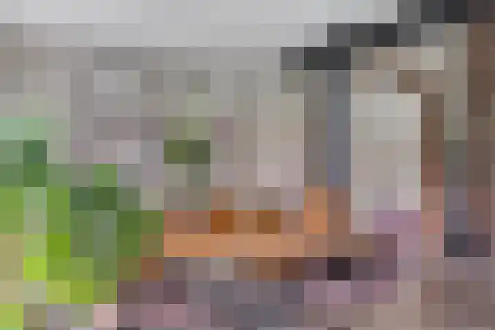 Harinkweg 13 de Lutte thumbnail 8