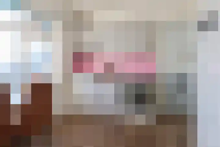 Harinxmastrjitte 52 Heeg thumbnail 20
