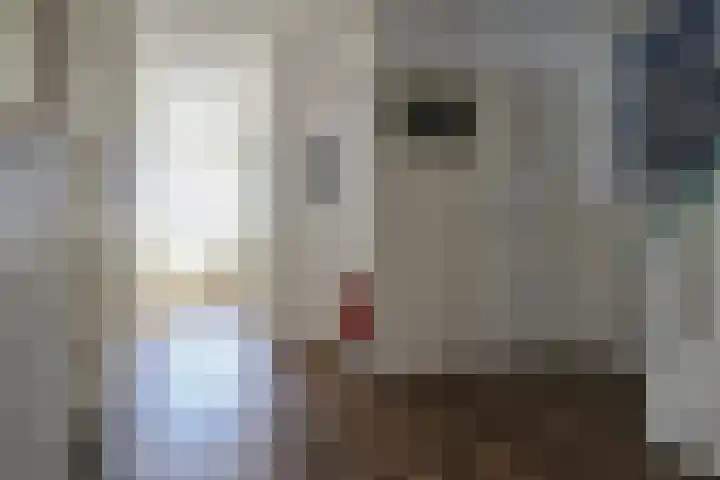 Harinxmastrjitte 52 Heeg thumbnail 24